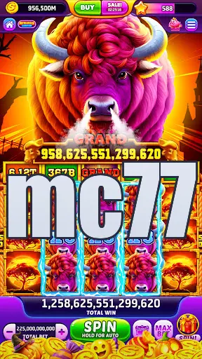 mc77 Masuk